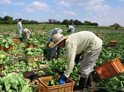 不干膠材料